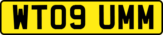 WT09UMM