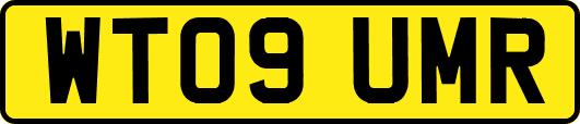 WT09UMR