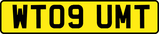 WT09UMT