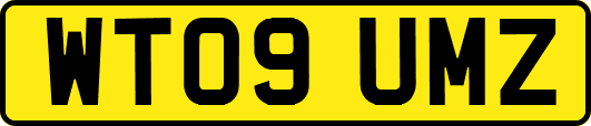 WT09UMZ