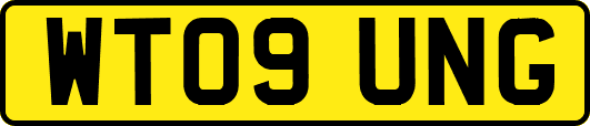WT09UNG