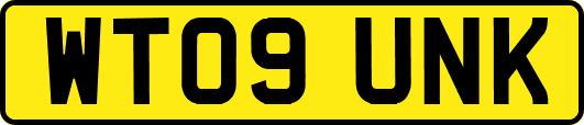 WT09UNK