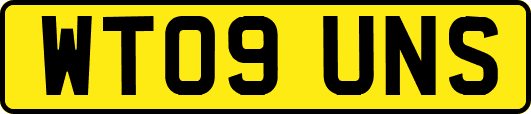 WT09UNS
