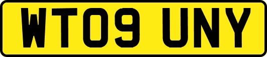 WT09UNY
