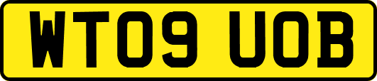 WT09UOB