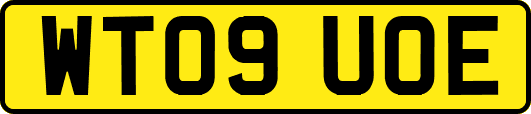 WT09UOE