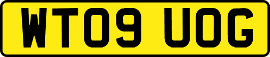 WT09UOG