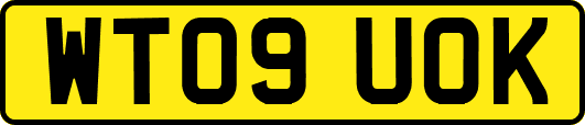 WT09UOK