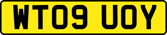 WT09UOY