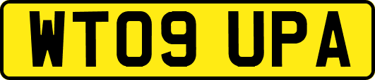 WT09UPA