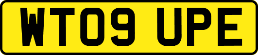WT09UPE