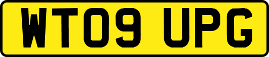 WT09UPG