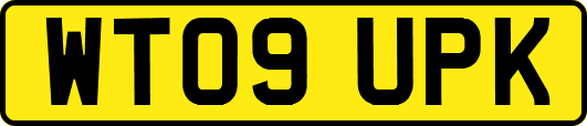 WT09UPK
