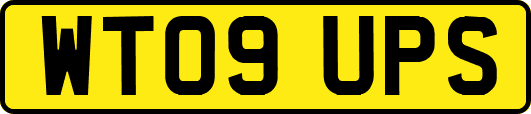 WT09UPS