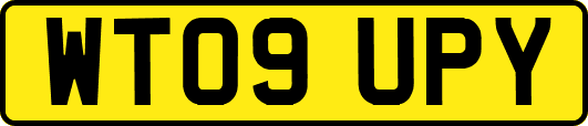 WT09UPY