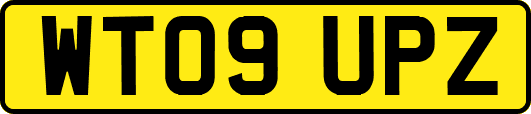 WT09UPZ