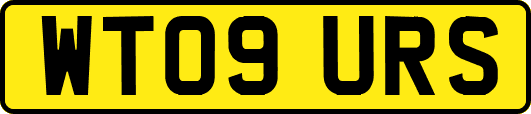 WT09URS