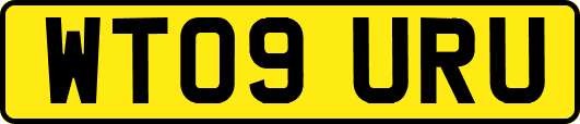 WT09URU