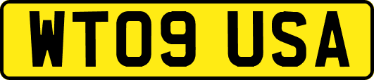 WT09USA
