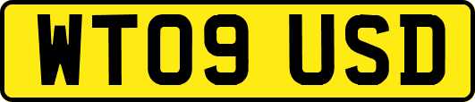 WT09USD