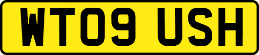 WT09USH
