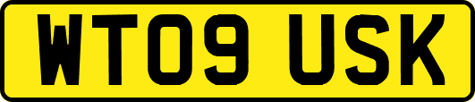 WT09USK