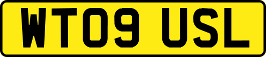 WT09USL