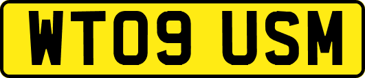 WT09USM