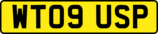 WT09USP