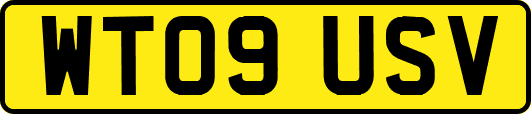 WT09USV