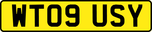 WT09USY