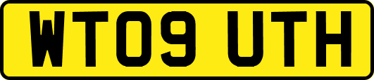 WT09UTH
