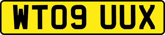 WT09UUX