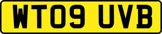 WT09UVB