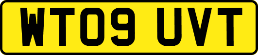 WT09UVT