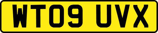 WT09UVX