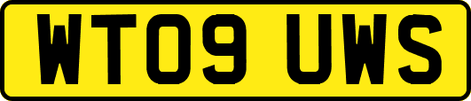 WT09UWS