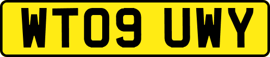 WT09UWY