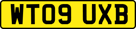 WT09UXB