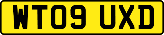 WT09UXD