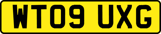 WT09UXG