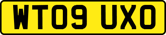 WT09UXO