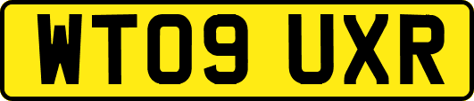 WT09UXR