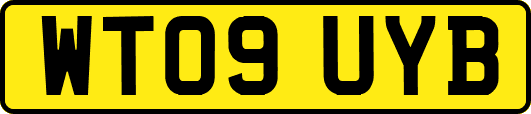 WT09UYB