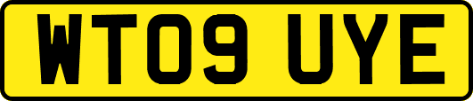 WT09UYE