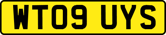 WT09UYS