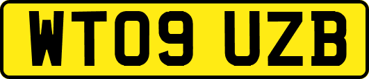 WT09UZB