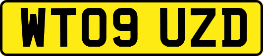 WT09UZD
