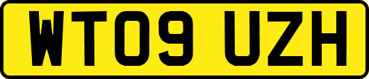 WT09UZH