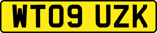 WT09UZK